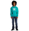 BANDWIDTH - SWEAT À CAPUCHE DC SHOES POUR GARÇON DC SHOES-Rider'Z