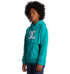 BANDWIDTH - SWEAT À CAPUCHE DC SHOES POUR GARÇON DC SHOES-Rider'Z
