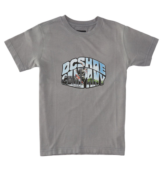 CITYWIDE - T-SHIRT POUR GARÇON 10-16 DC SHOES-Rider'Z