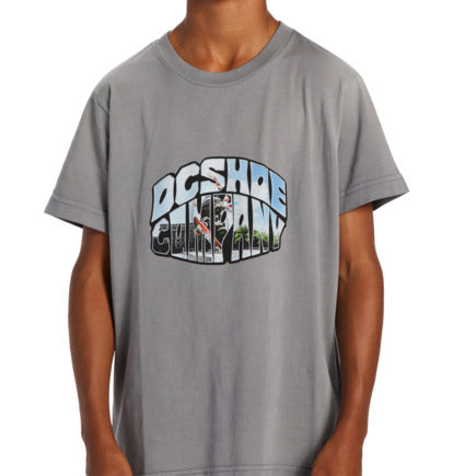 CITYWIDE - T-SHIRT POUR GARÇON 10-16 DC SHOES-Rider'Z